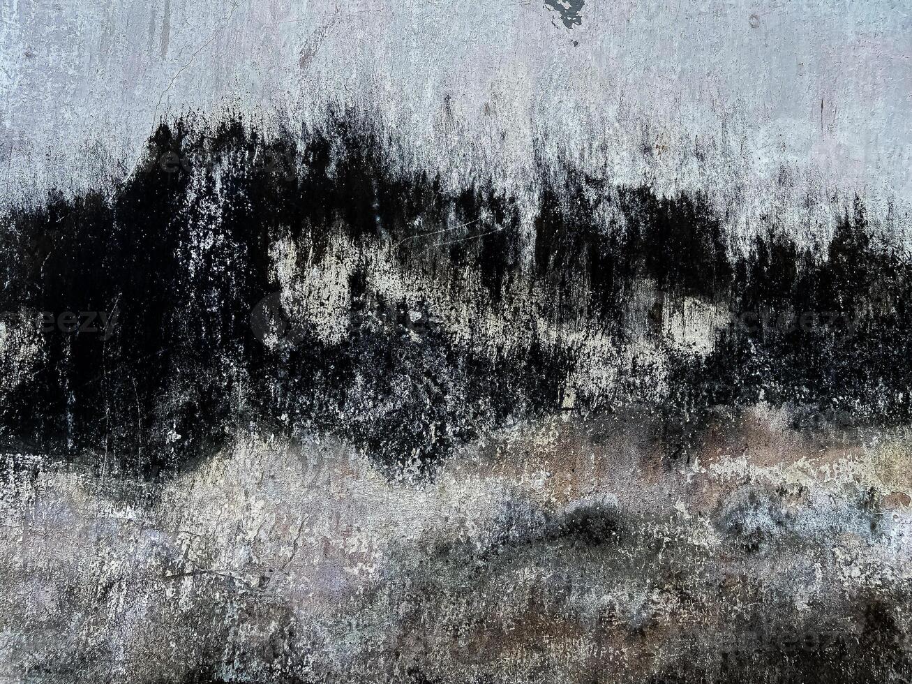 Black and White Moldy Damaged Grunge Wall Texture photo