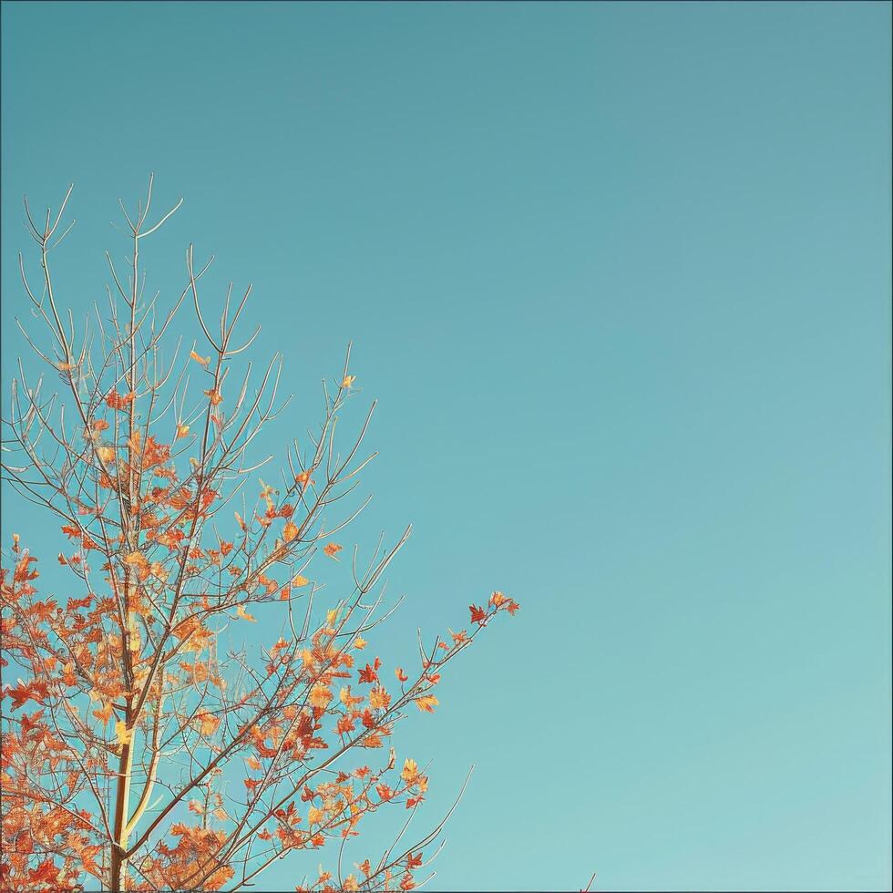 AI generated The sparse branches of autumn tree with a few red leaves contrast starkly against a clear blue sky photo