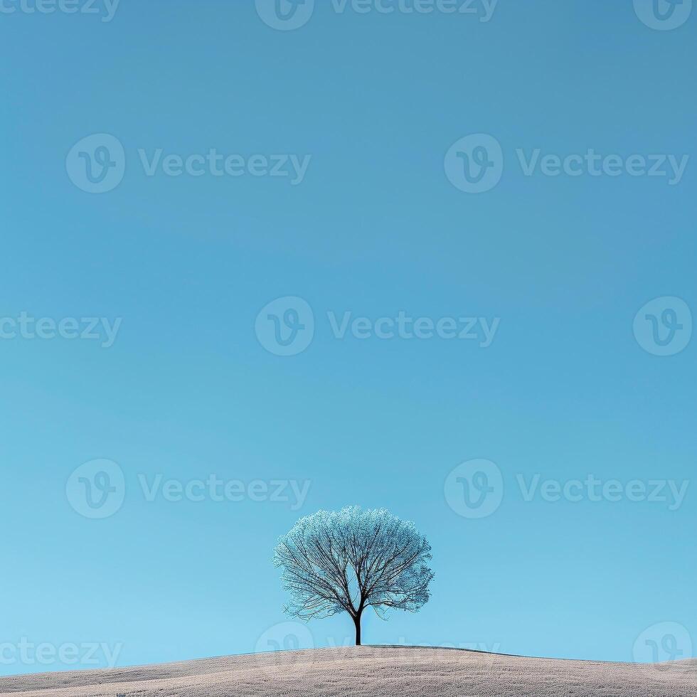 AI generated A single, leafless tree stands stark against a clear blue sky, atop a gently rolling hill blanketed in pristine snow photo