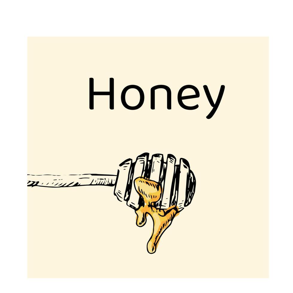 Honey spoon hand drawn sketch label in color vector