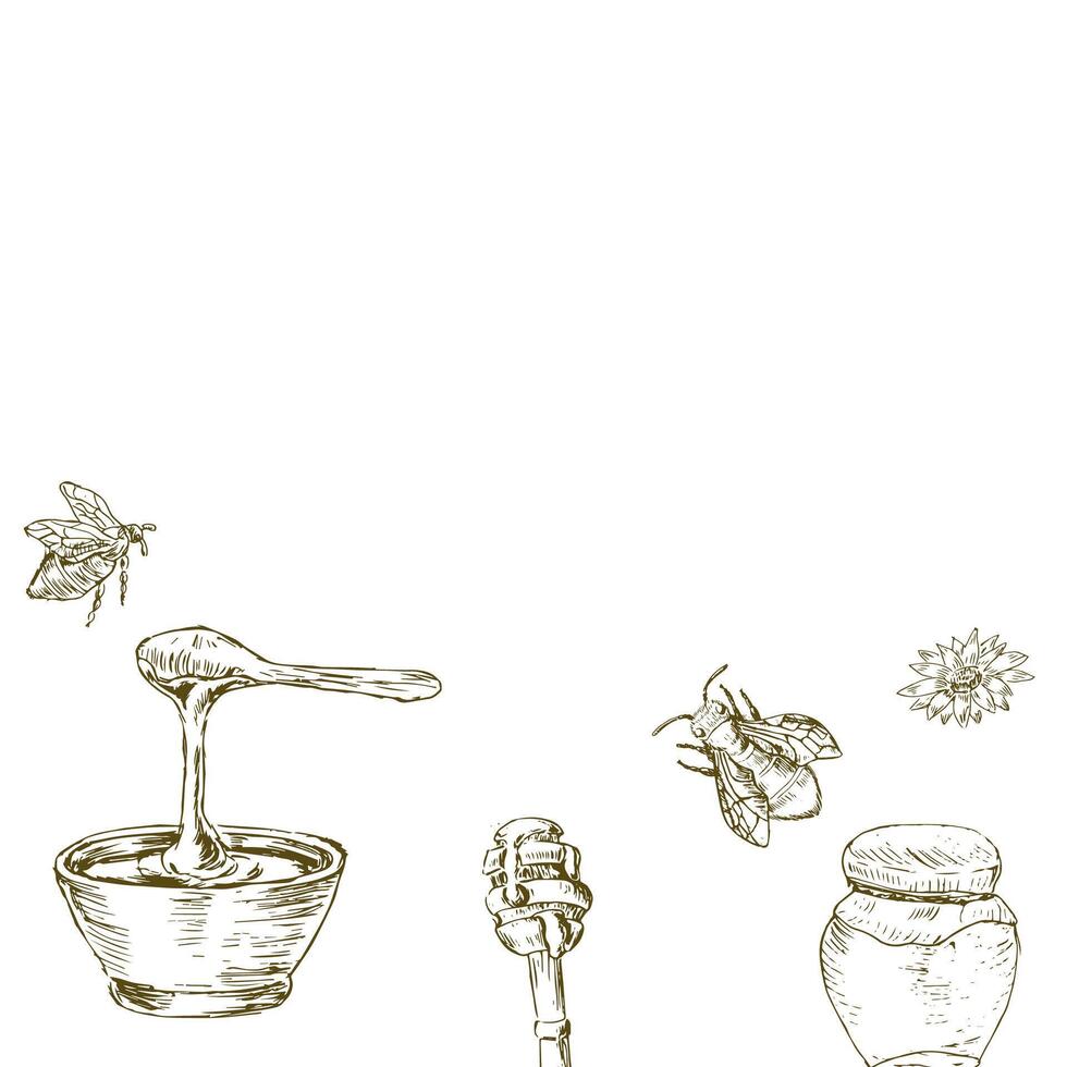 Honey background - hand drawn sketch outline vector