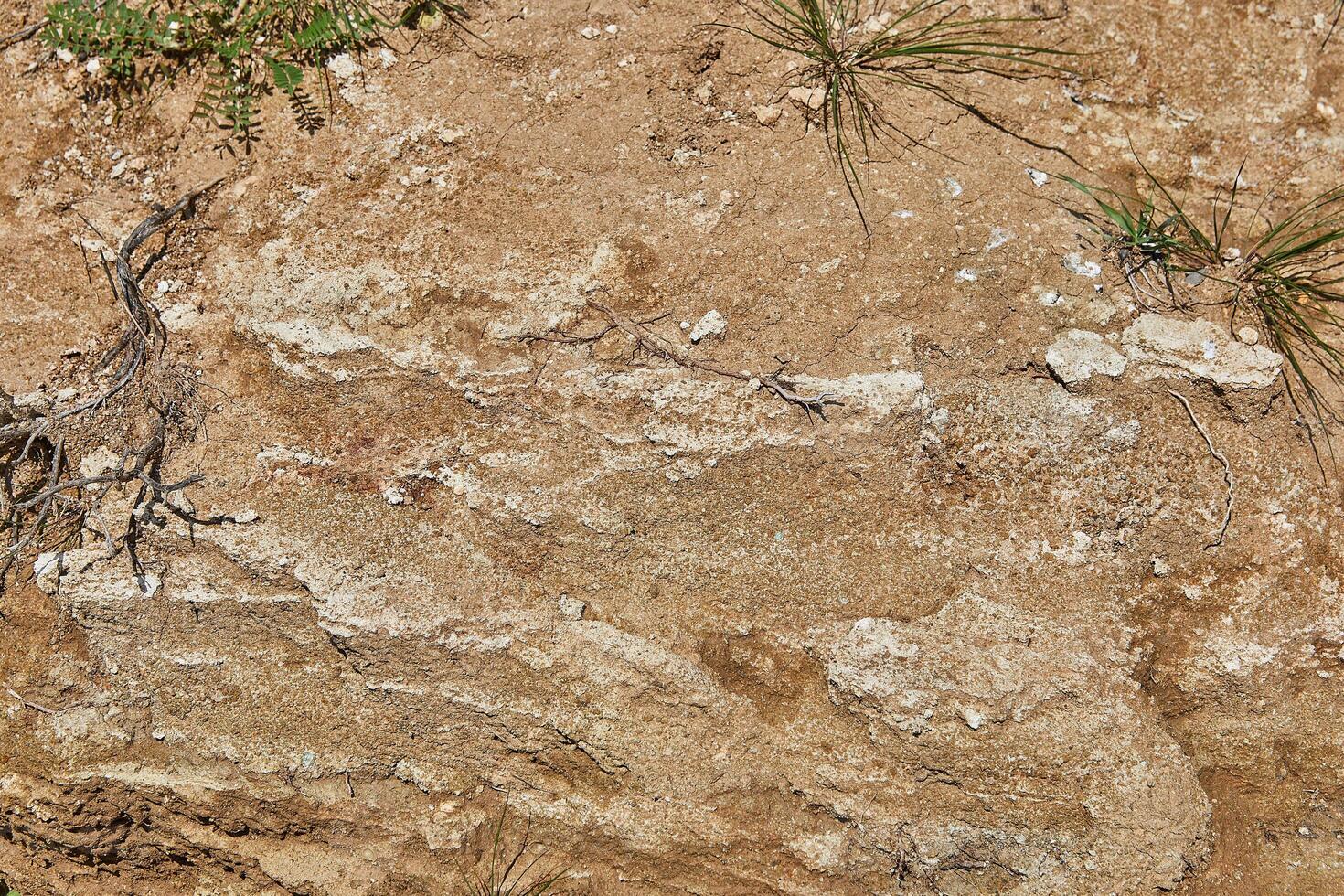 Background stone texture for shooting food or objects photo