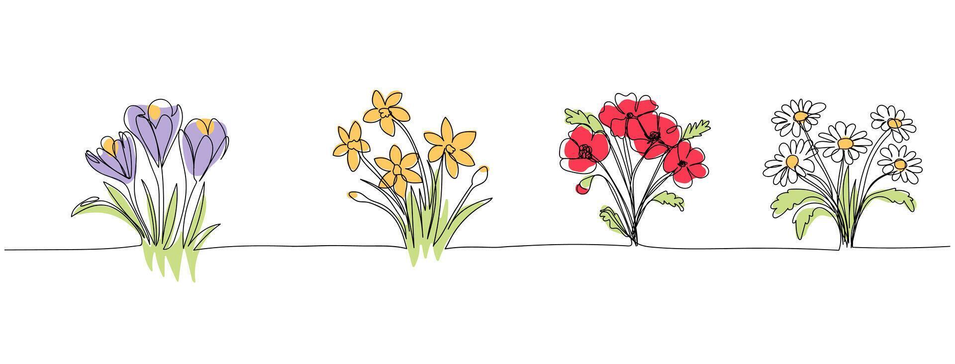 line art, bouquet of flowers crocus, poppies, daisy, poppy, single line drawing. vector illustration white background