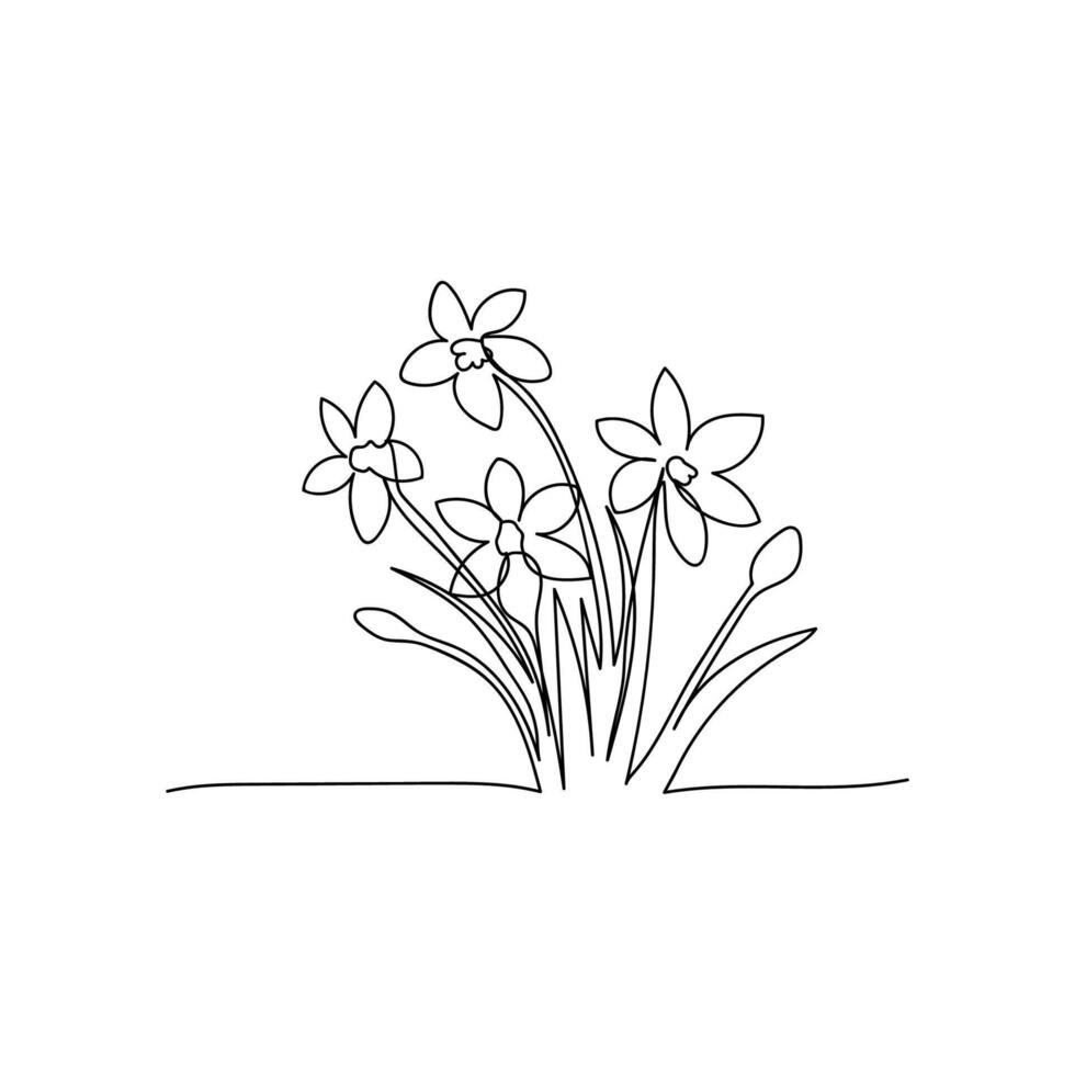 line art, bouquet of flowers narcissus spring and summer, drawing with one line. vector illustration white background