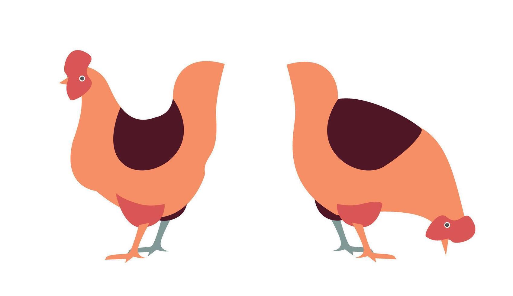 sencillo ilustrado gallinas en pie en diferente actitud vector