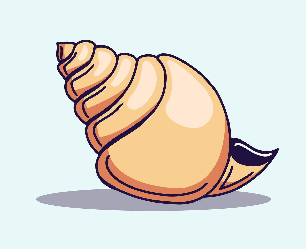 sea shell isolated vector illustration