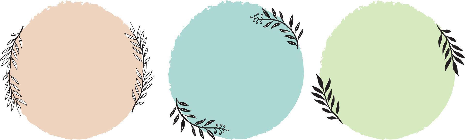 botanical floral frames design elements  hand drawn vector