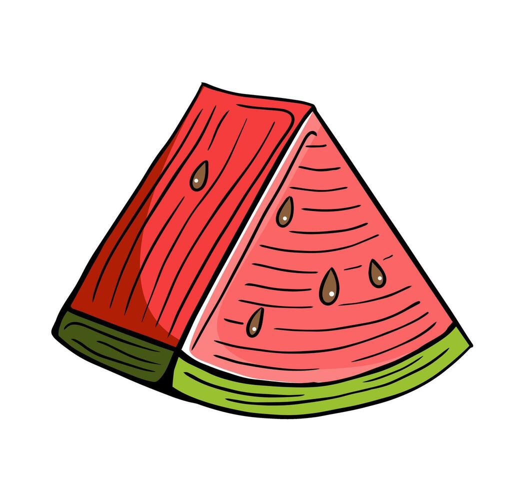 watermelon fruit slice hand drawn engraved sketch drawing vector