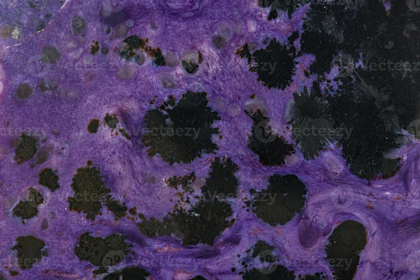 macro mineral stone Charoite on a white background photo