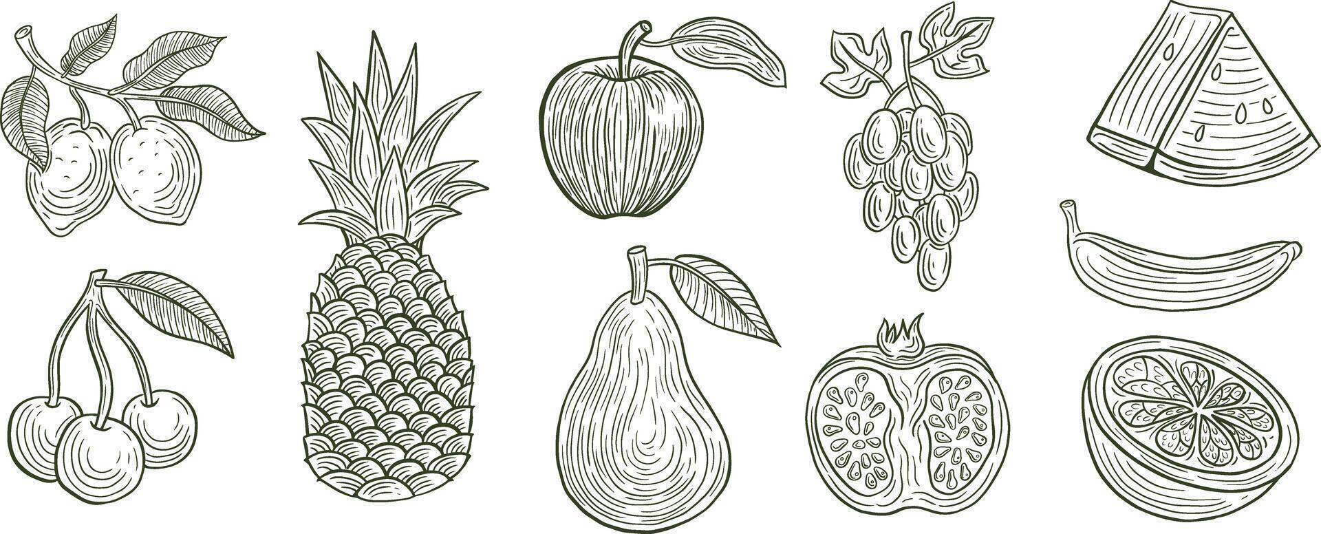 mano dibujado conjunto de frutas vector