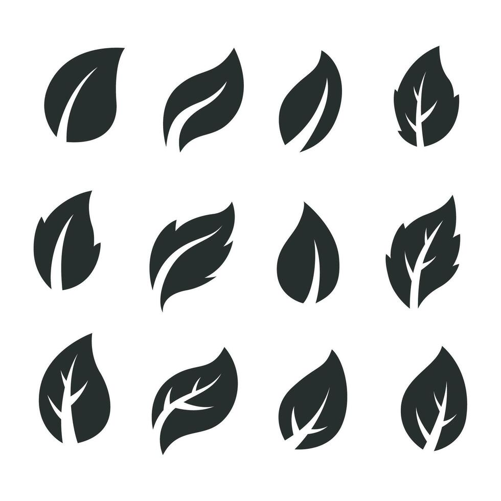 Artistic Collection of Black Leaves Set, Vector Illustration