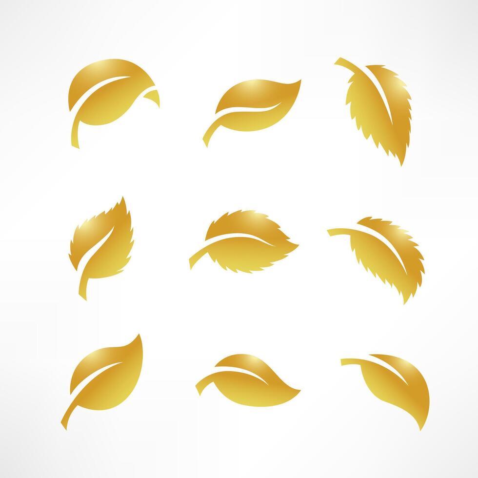 Artistic Collection of Gold Leaves Set, Vector Illustration