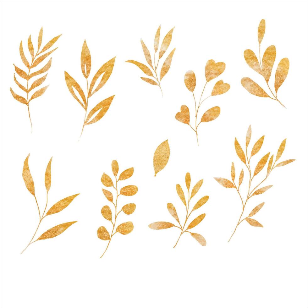 Gold Leaves Watercolor Illustration Set vector