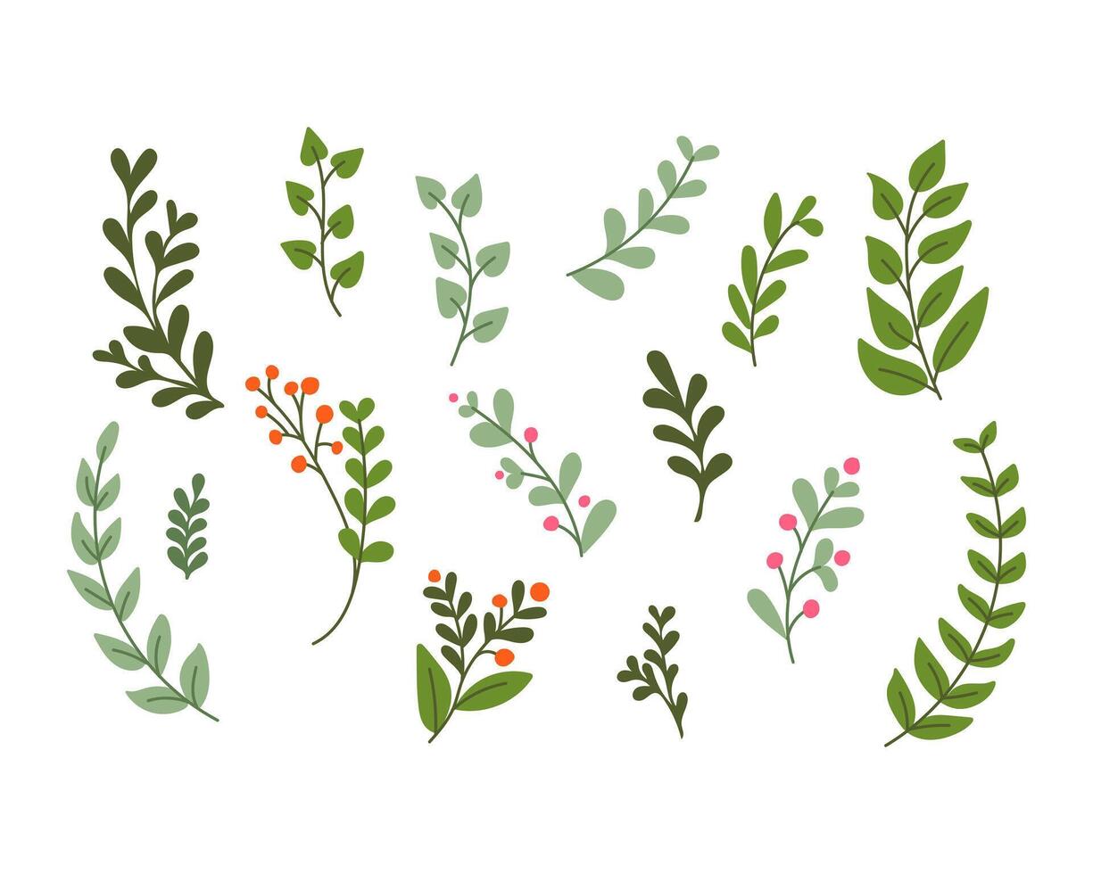 Flat colored hand drawn doodle spring branches. Sketchy bright leaves on white background. Ideal for decoration, stickers, greetings, banner and background vector