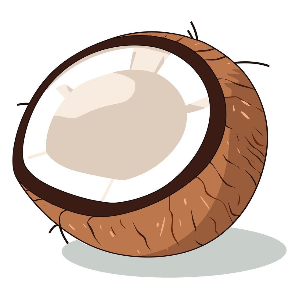 cartoon coconut vector illustration.