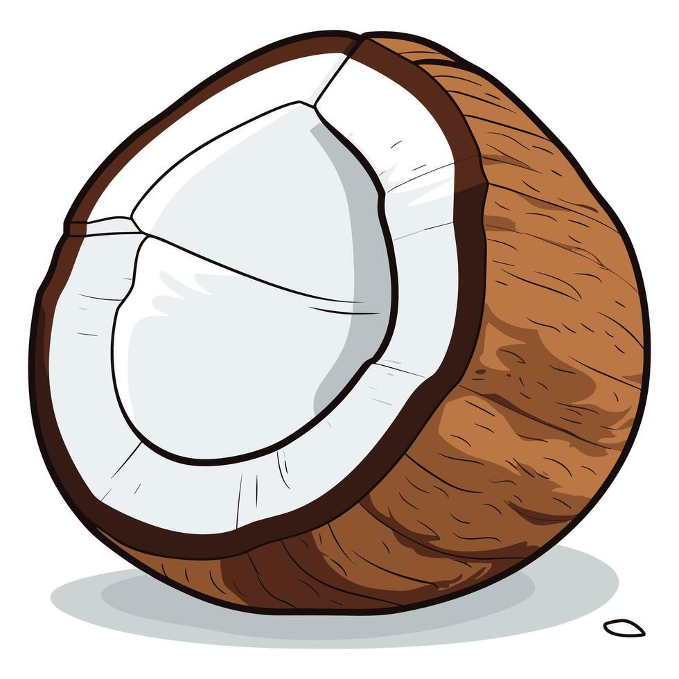 cartoon coconut vector illustration.