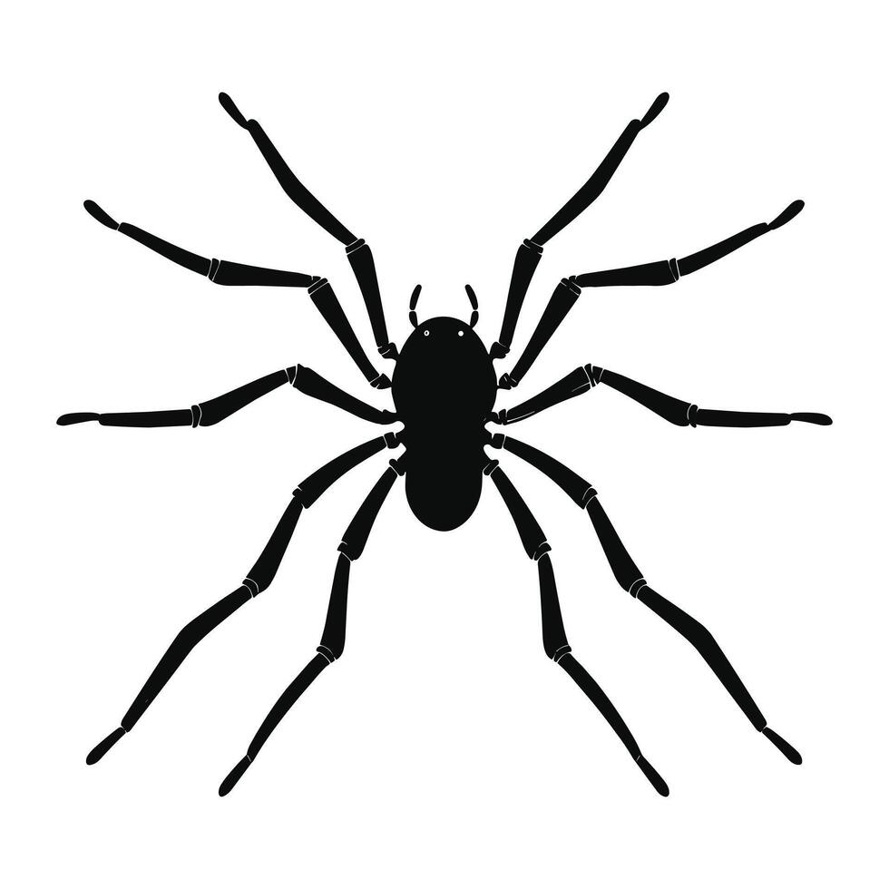 AI generated Spider black Silhouette vector. vector