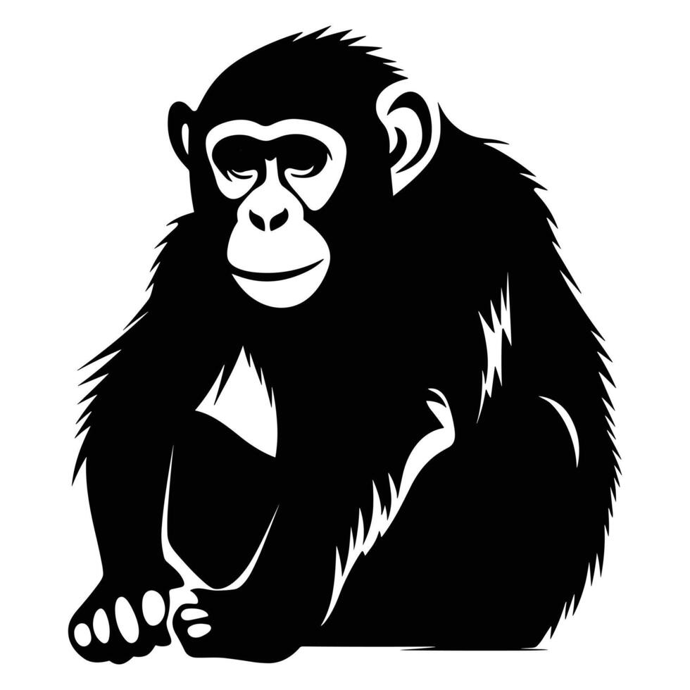 Chimpanzee black Silhouette vector, white background. vector