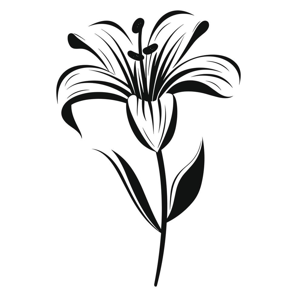 Lily flower black Silhouette vector