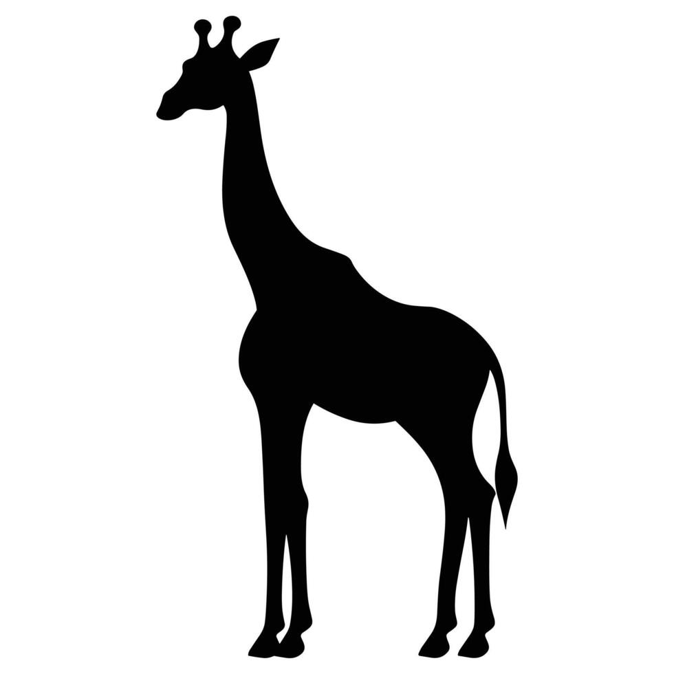 Giraffe black Silhouette vector, white background. vector