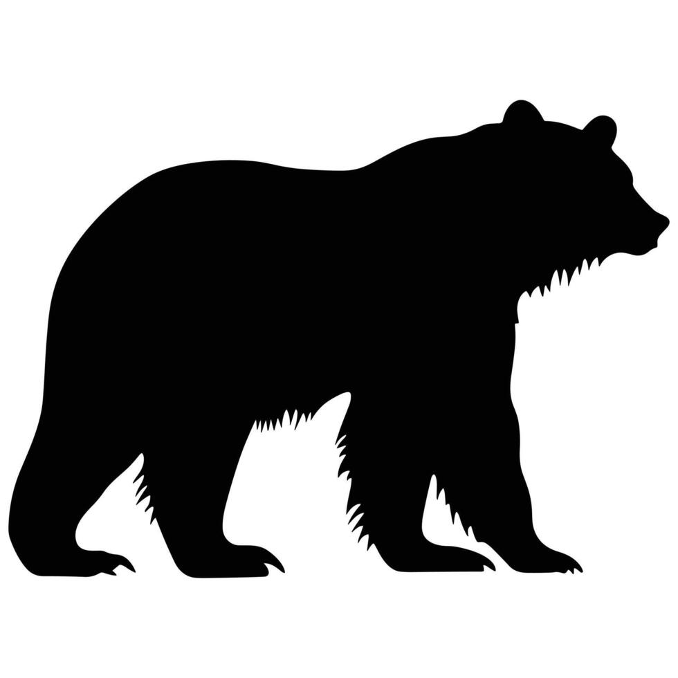 Grizzly black Silhouette vector, white background. vector