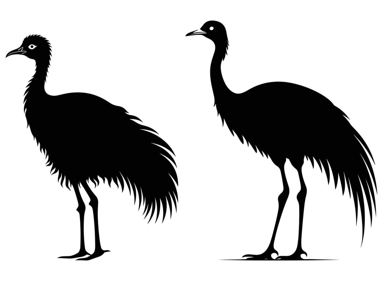 Emu black Silhouette vector, white background. vector