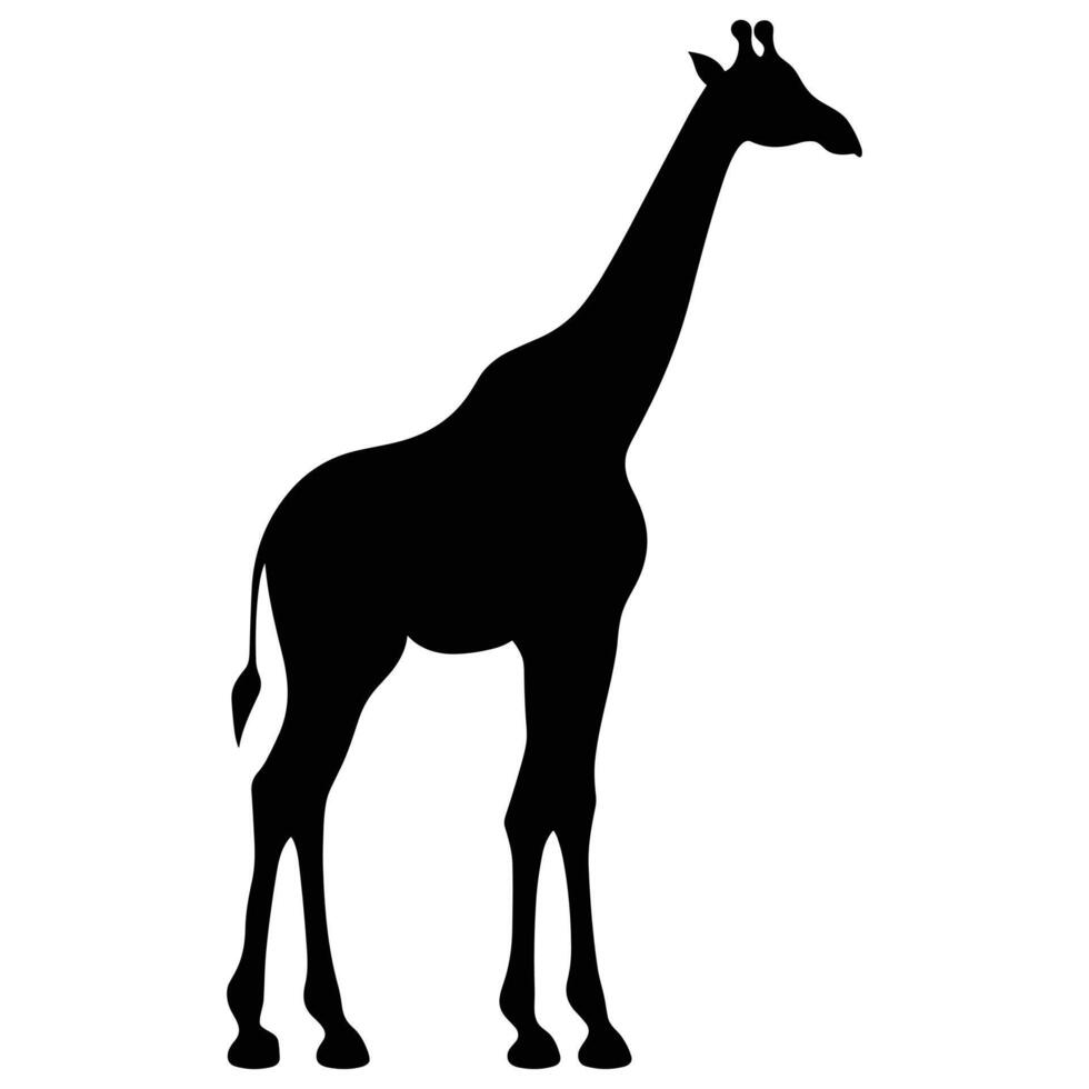 Giraffe black Silhouette vector, white background. vector