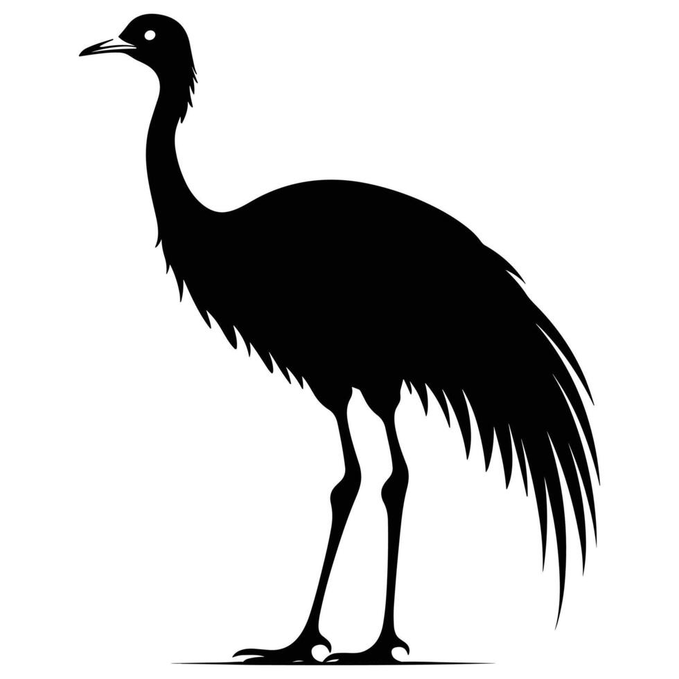Emu black Silhouette vector, white background. vector