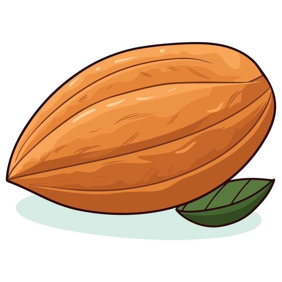 Almond nut design vector illustration.