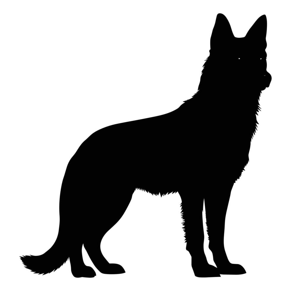 Dingo black Silhouette vector, white background. vector