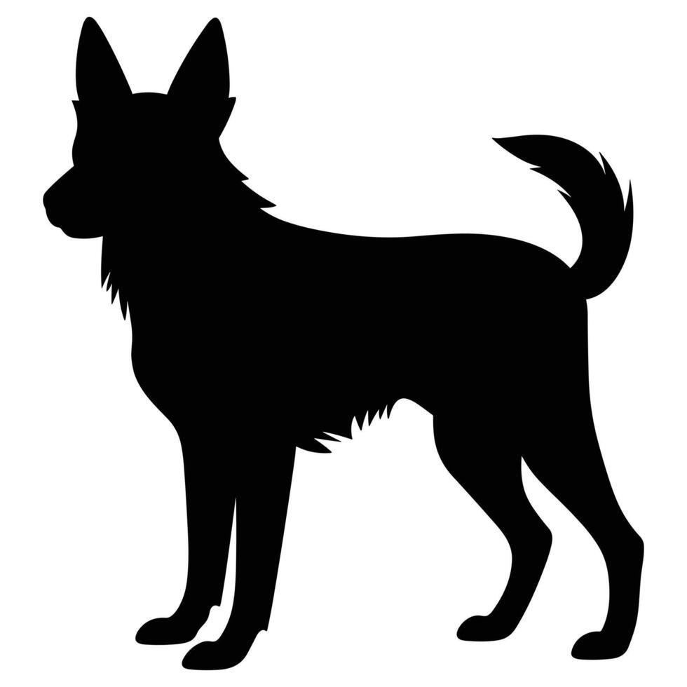 Dingo black Silhouette vector, white background. vector