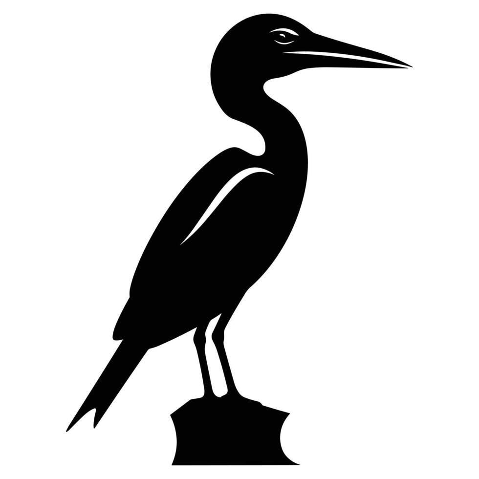 Cormorant black Silhouette vector. vector