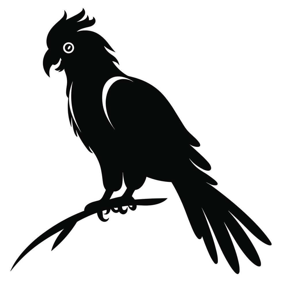 Cockatoo black Silhouette vector