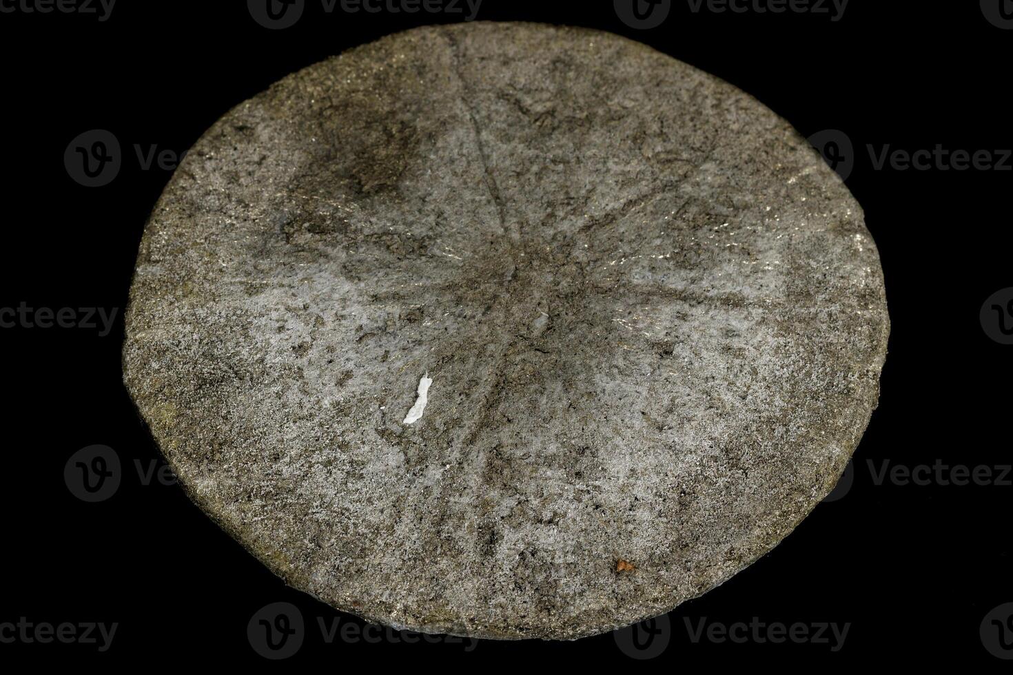 Macro mineral stone Pyrite on a black background photo