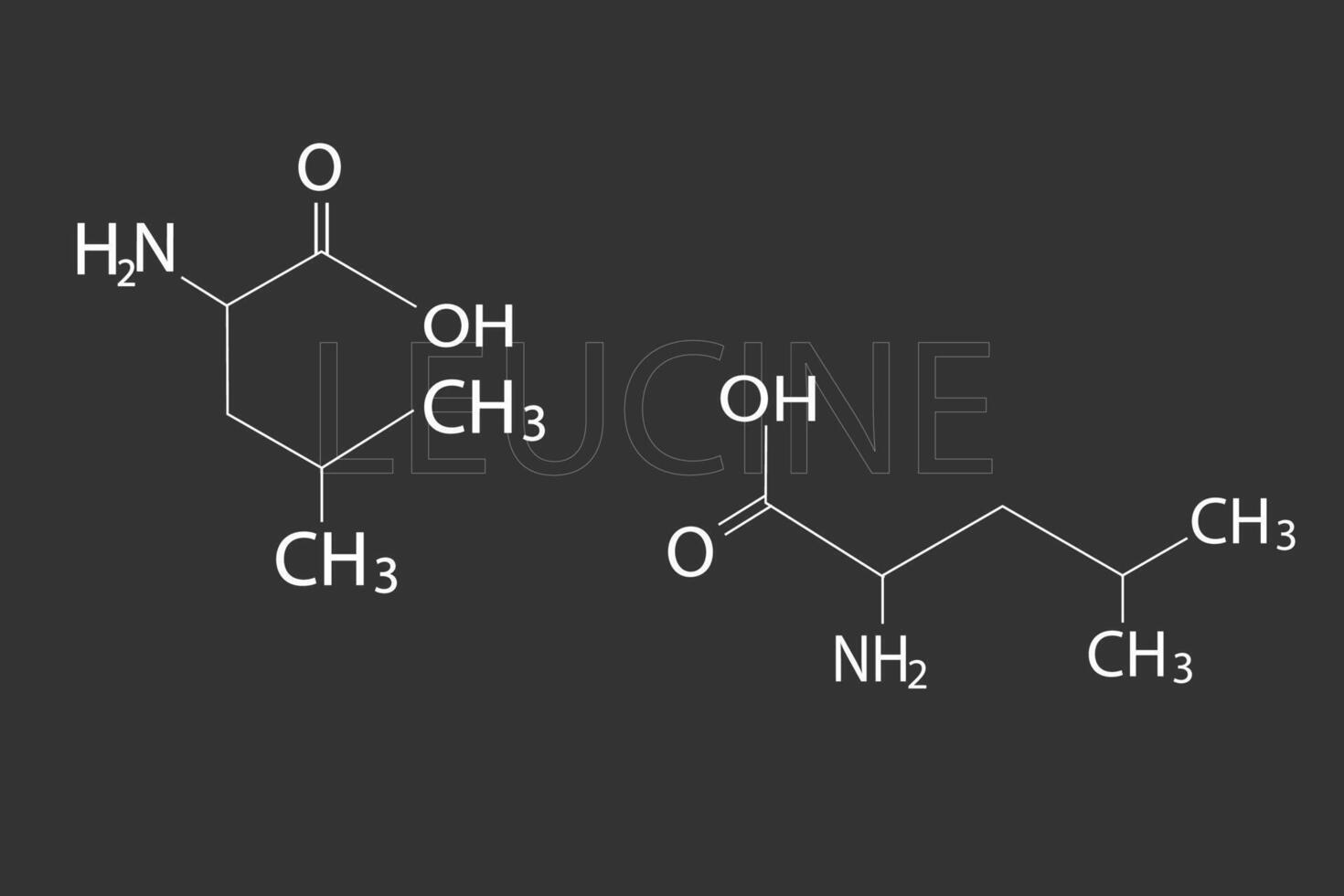 leucina molecular esquelético químico fórmula vector