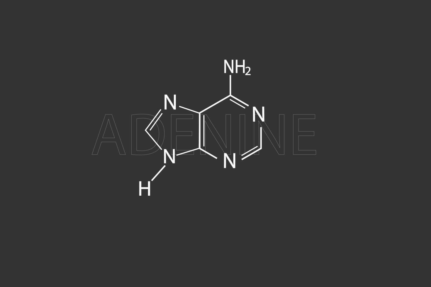 adenine molecular skeletal chemical formula vector