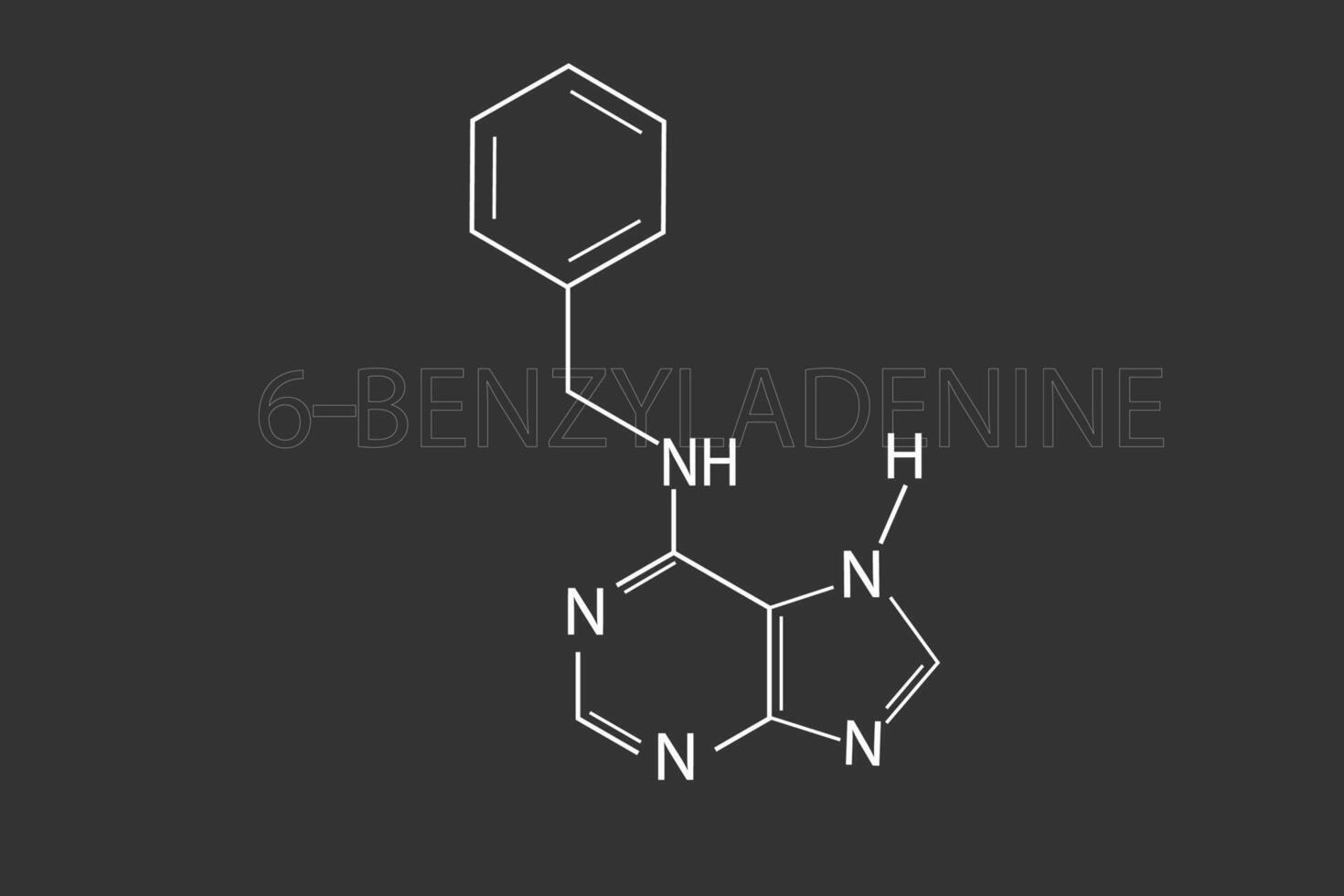 benzyladenine molecular skeletal chemical formula vector