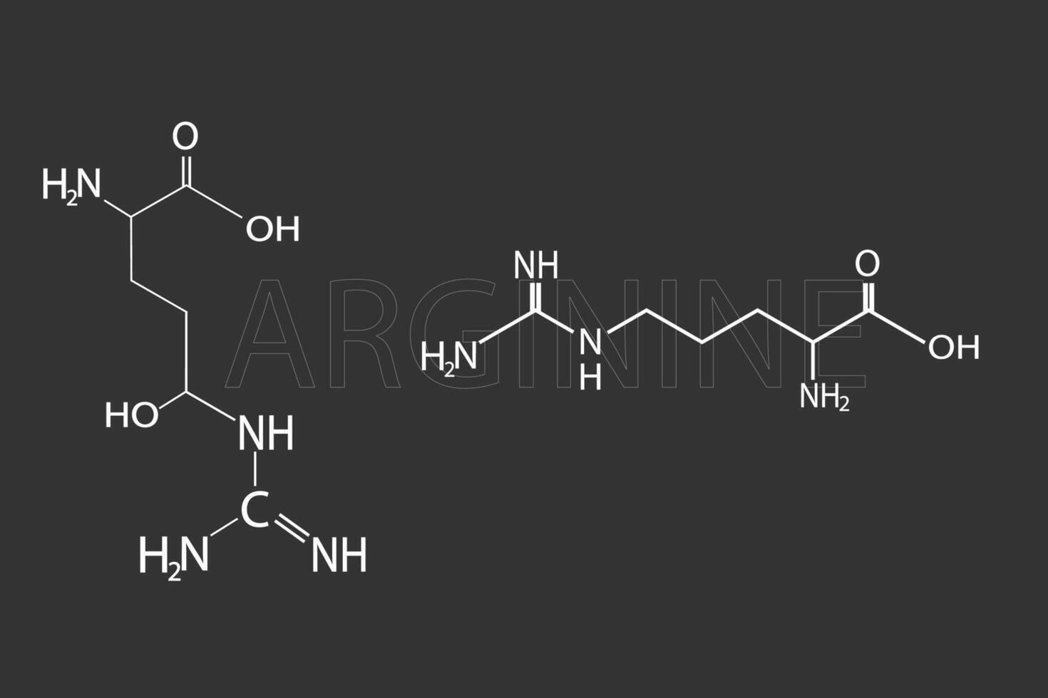 arginina molecular esquelético químico fórmula vector