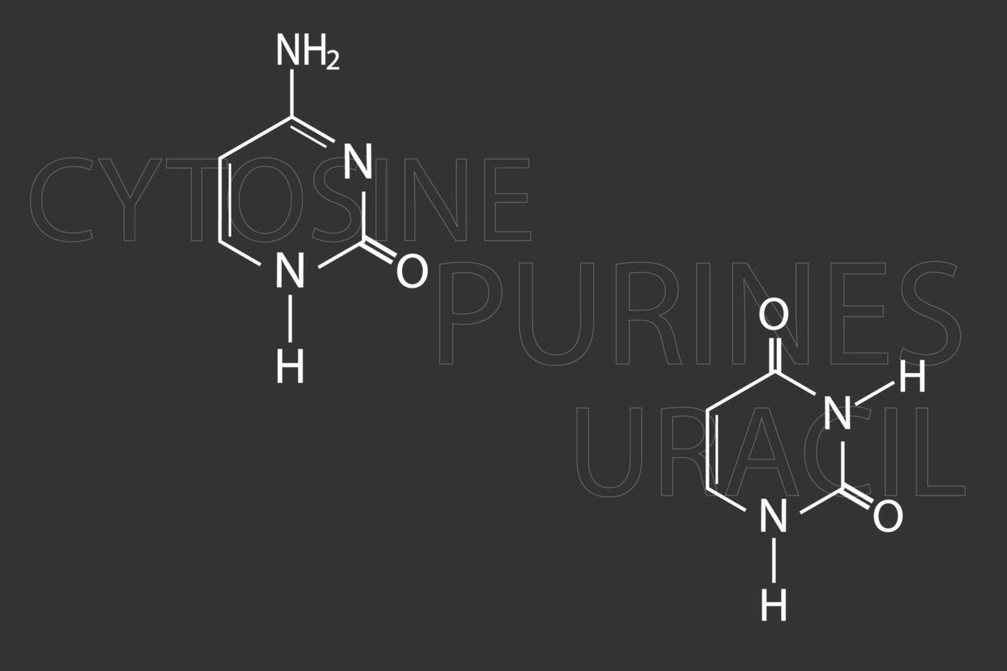 purinas molecular esquelético químico fórmula vector