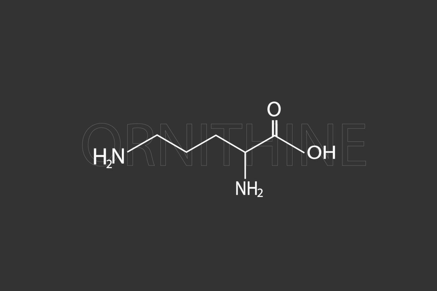 ornitina molecular esquelético químico fórmula vector