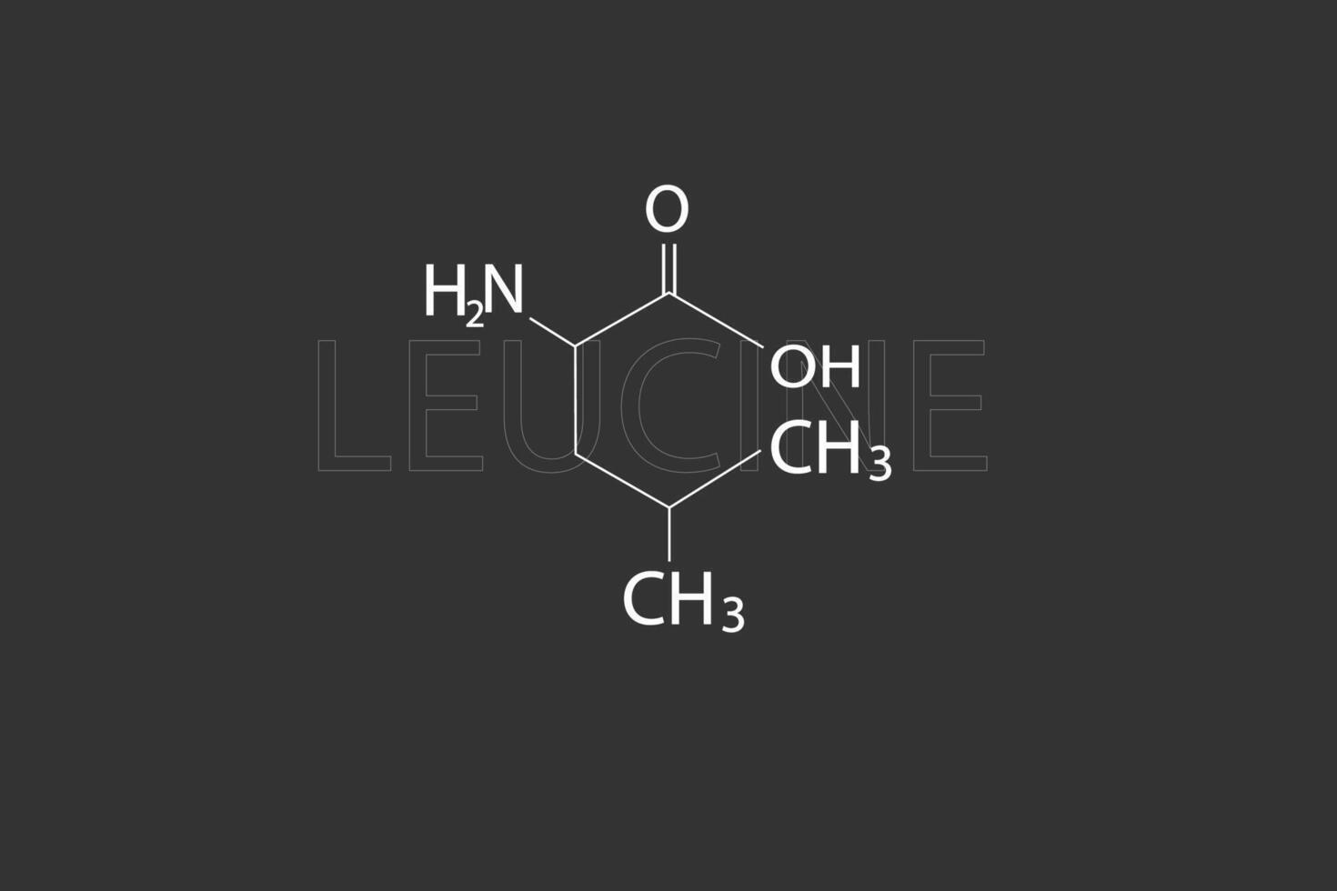 leucine molecular skeletal chemical formula vector