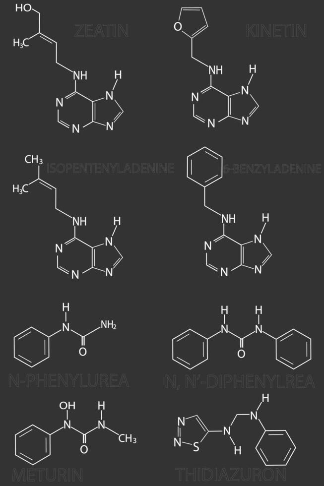 Structural chemical formulas of natural and synthetic plant hormones cytokinin's generated vector