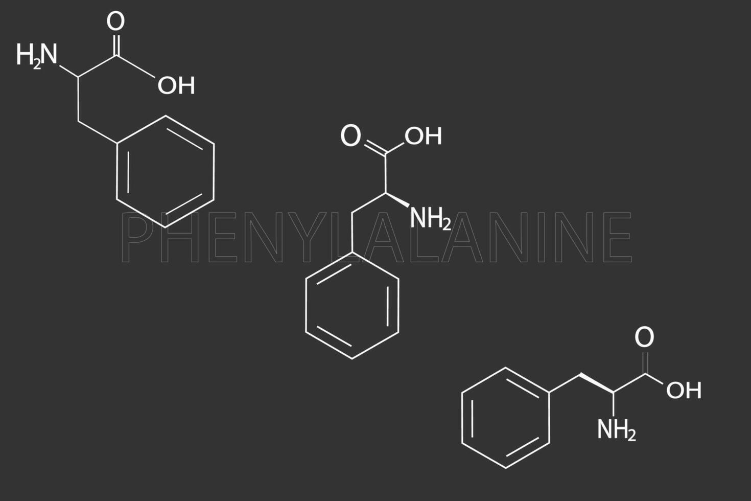 fenilalanina molecular esquelético químico fórmula vector