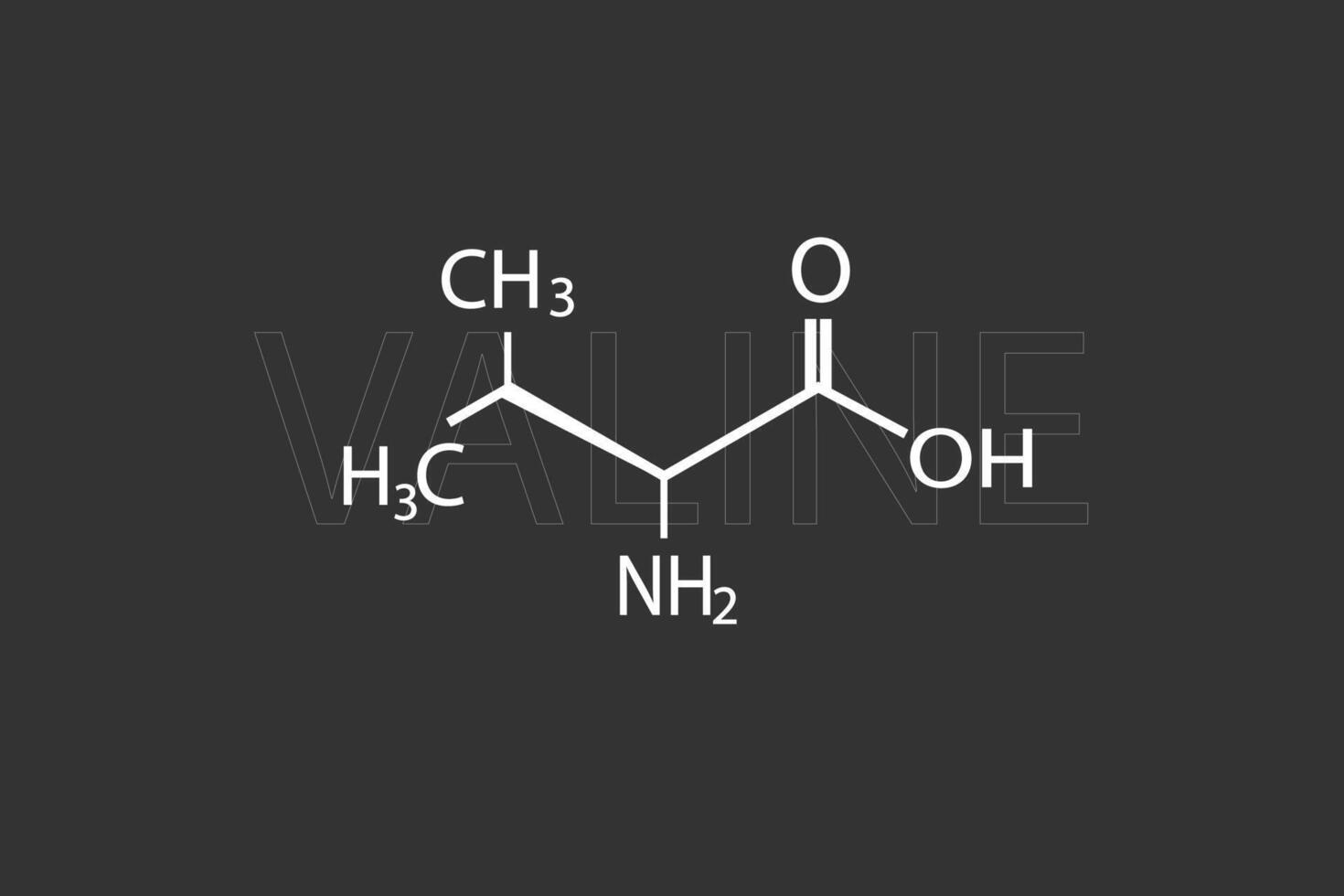 valina molecular esquelético químico fórmula vector