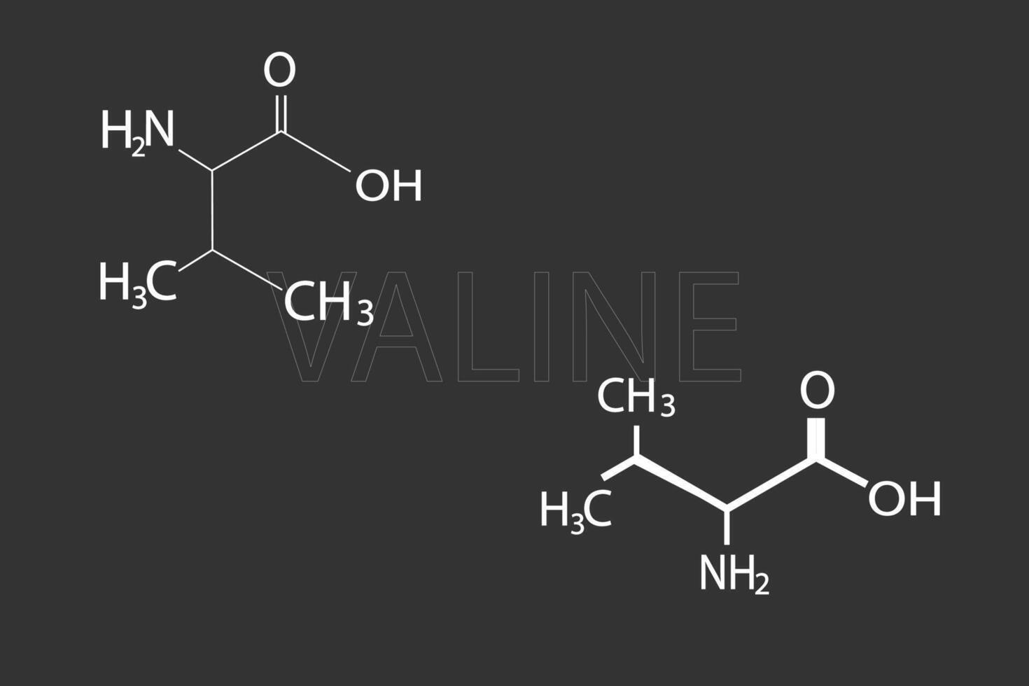 valina molecular esquelético químico fórmula vector