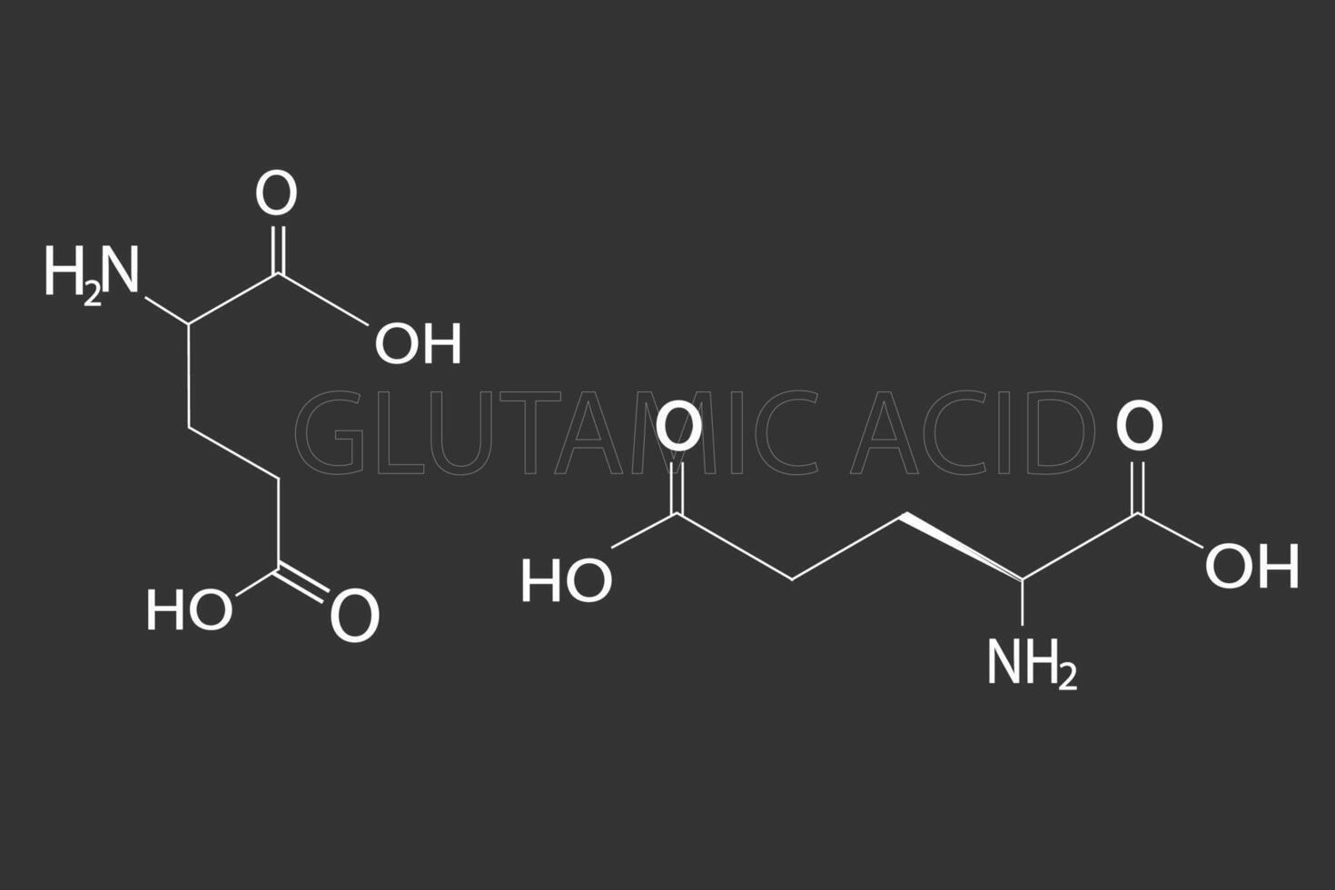 glutamic acid molecular skeletal chemical formula vector