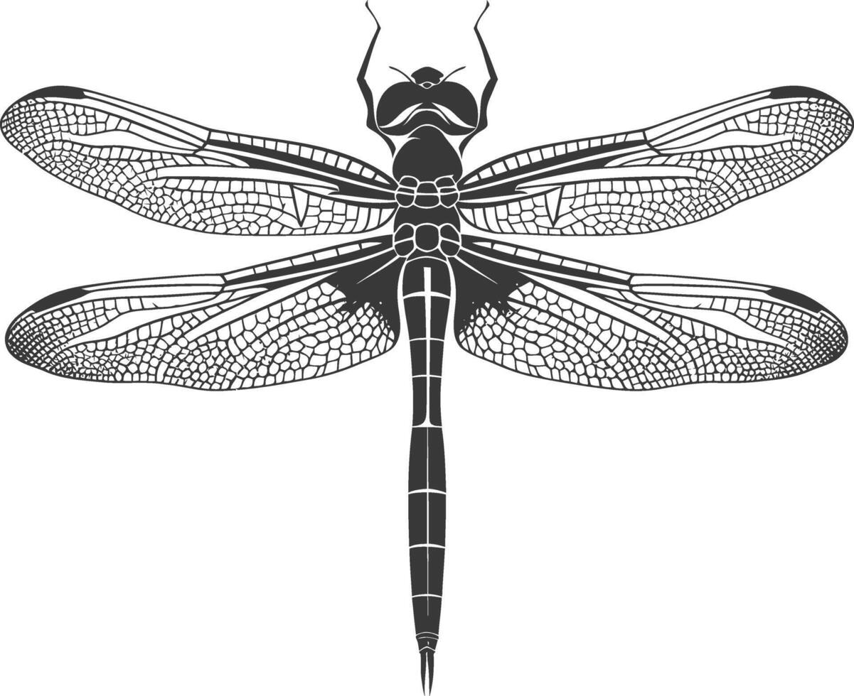 AI generated Silhouette Dragonfly black color only full body vector