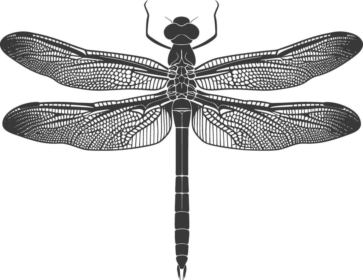 AI generated Silhouette Dragonfly black color only full body vector