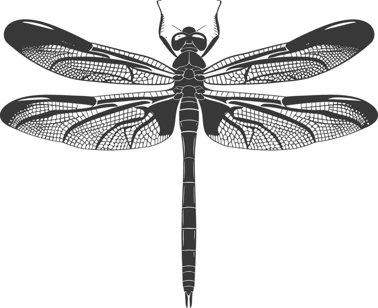 AI generated Silhouette Dragonfly black color only full body vector