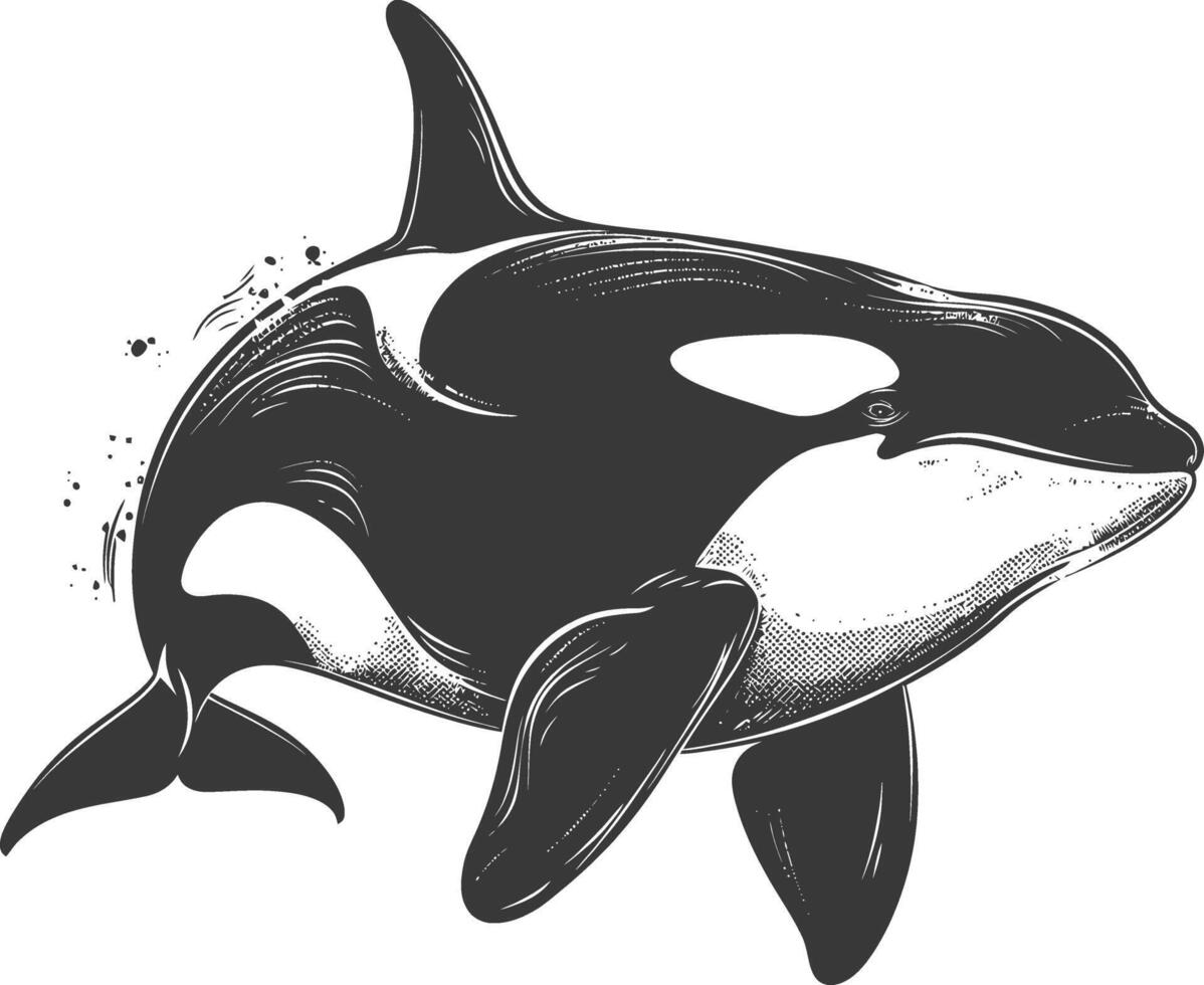ai generado silueta el orca o asesino ballena pescado animal negro color solamente vector